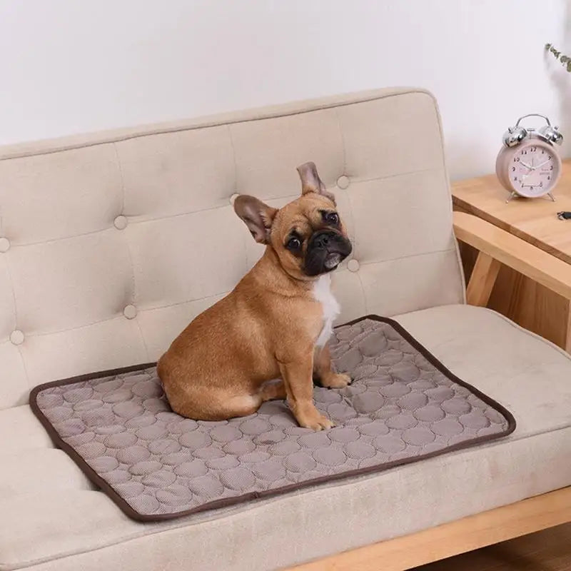 Breathable Summer Cooling Mat for Dogs and Cats