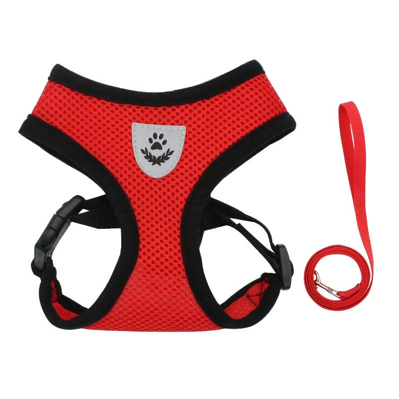 Adjustable Cat Harness and Leash Set