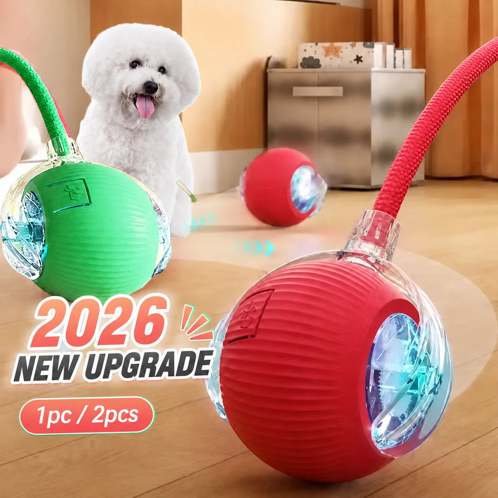 Rechargeable Automatic Rolling Interactive Dog Ball