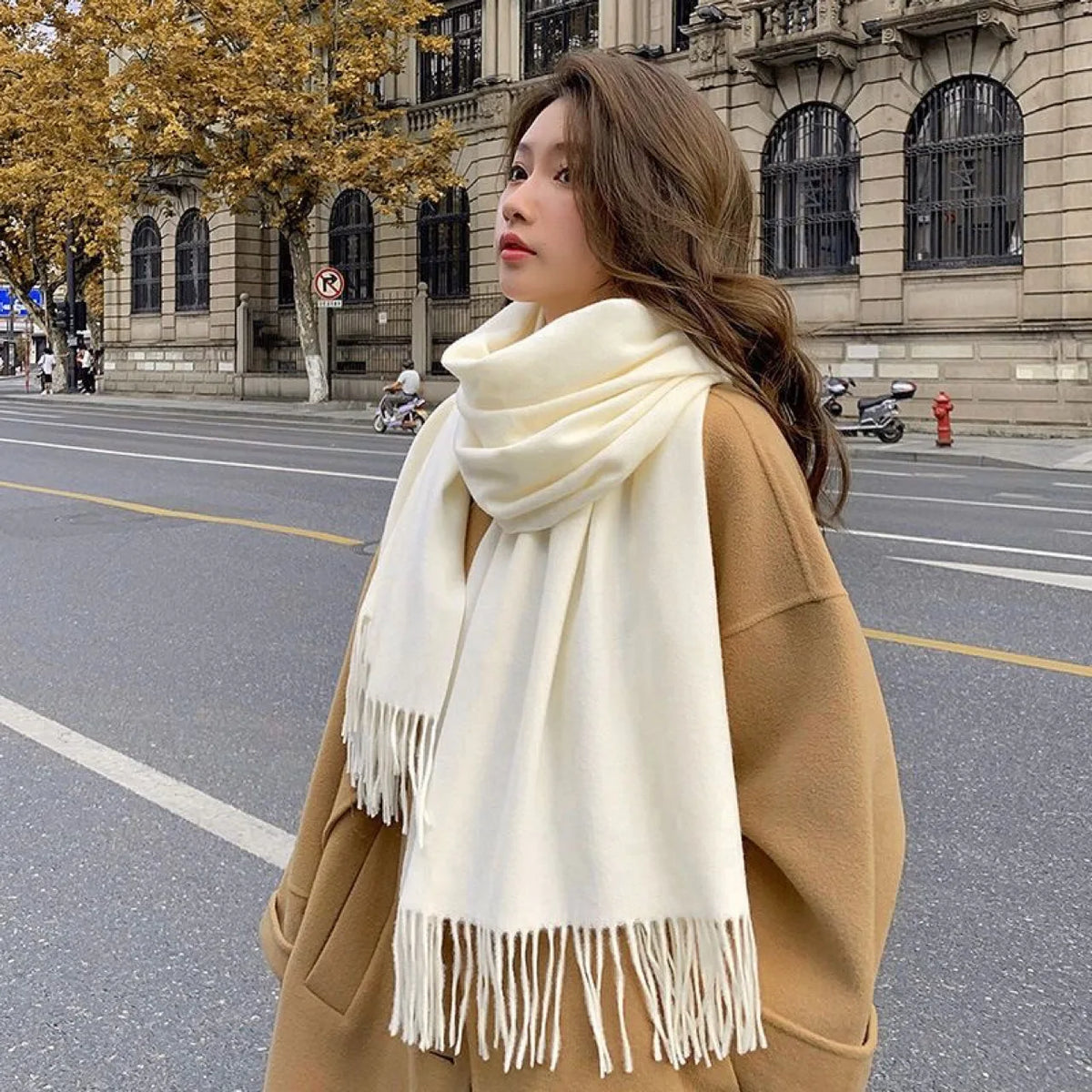 Women's Elegant Winter Scarf – Soft Warm Long Shawl
