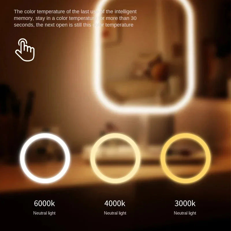 Portable LED Vanity Mirror with 3-Color Lighting