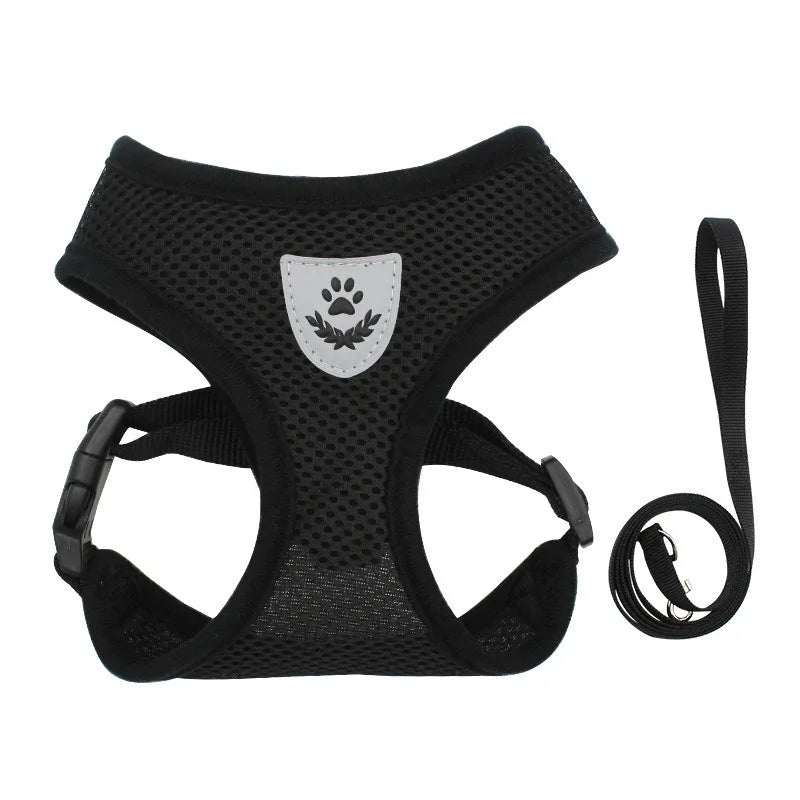 Adjustable Cat Harness and Leash Set