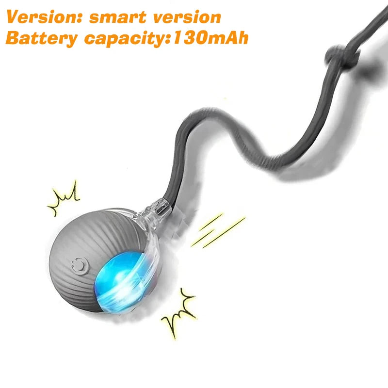 Rechargeable Automatic Rolling Interactive Dog Ball