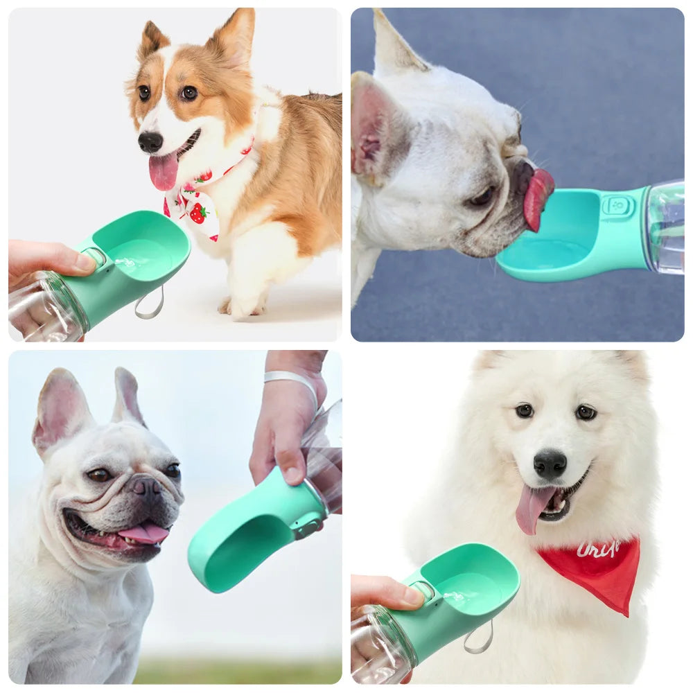 Portable Leak-Resistant Dog Water Bottle
