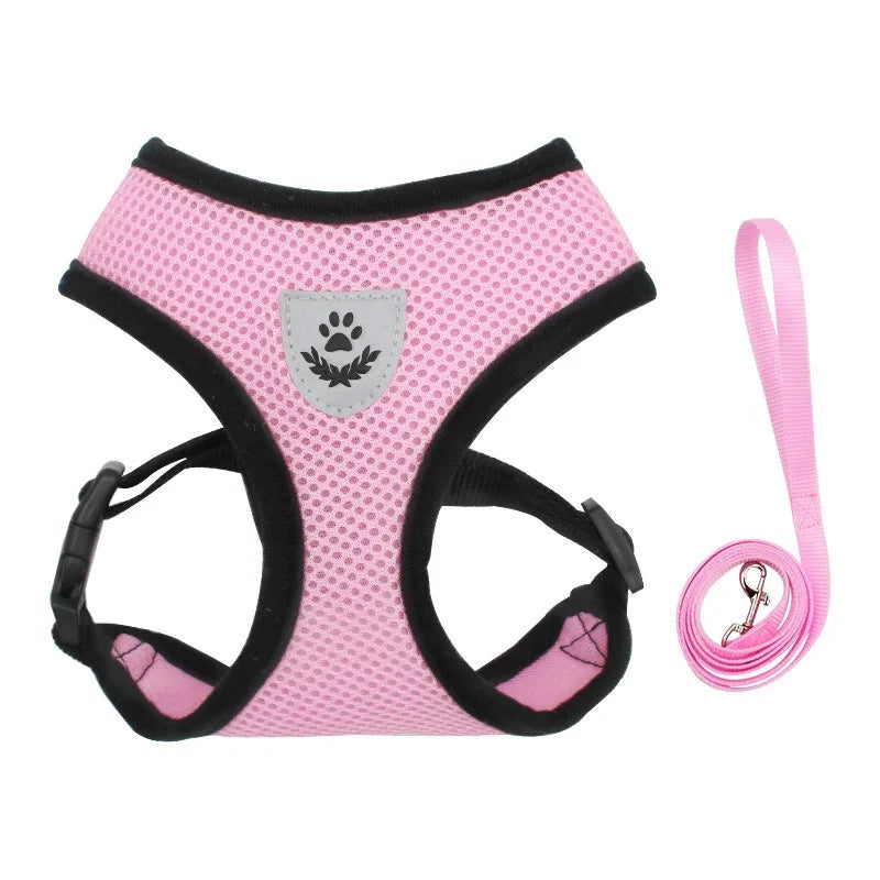 Adjustable Cat Harness and Leash Set
