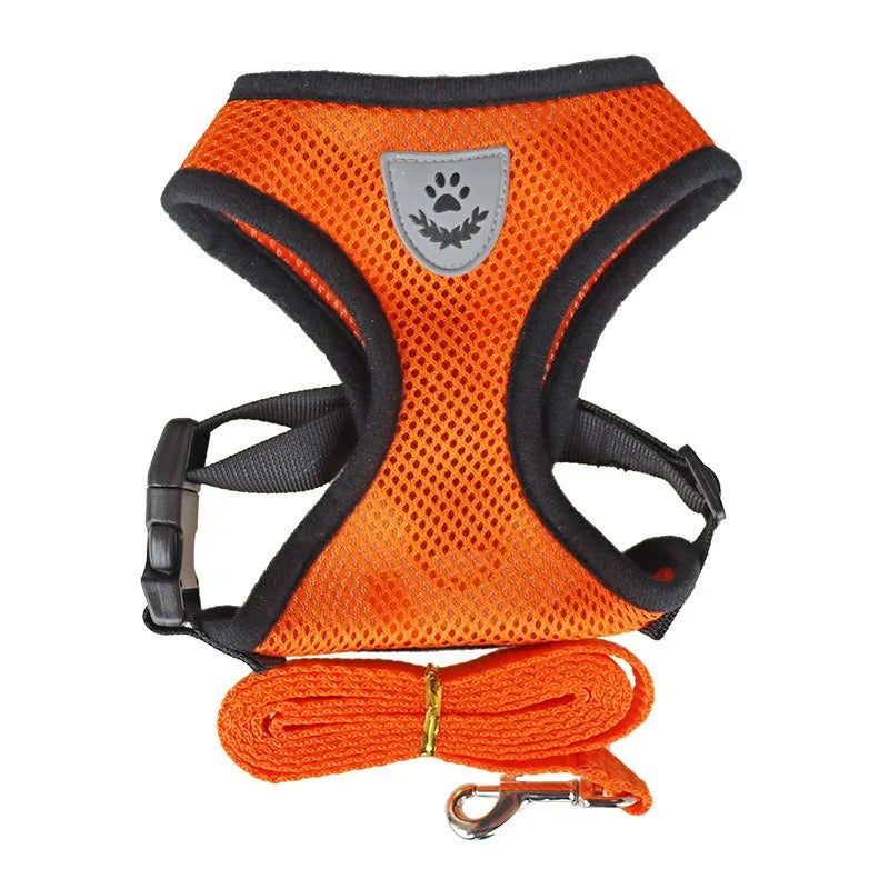 Adjustable Cat Harness and Leash Set