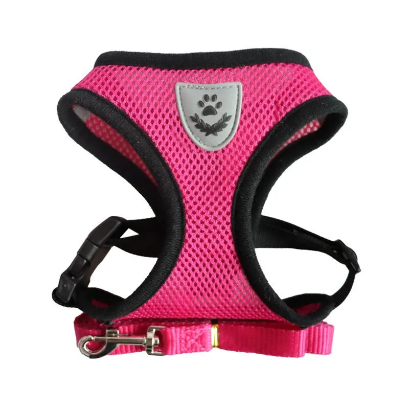 Adjustable Cat Harness and Leash Set