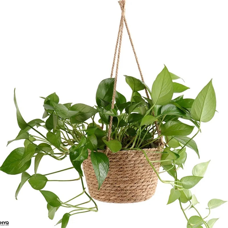 Macrame Hanging Plant Basket for Indoor & Outdoor Decor
