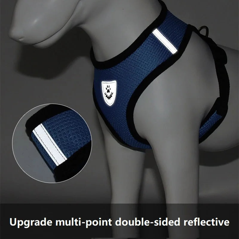 Adjustable Cat Harness and Leash Set