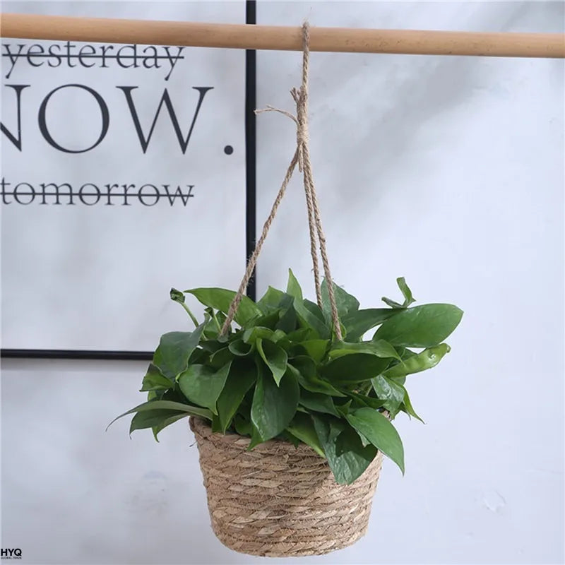 Macrame Hanging Plant Basket for Indoor & Outdoor Decor