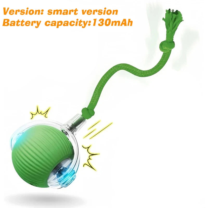 Rechargeable Automatic Rolling Interactive Dog Ball