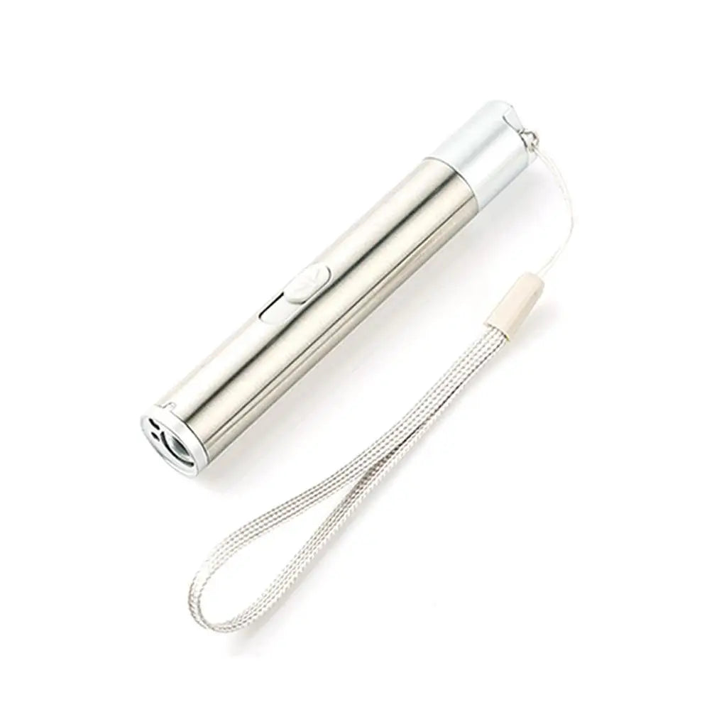 USB Rechargeable 3-in-1 Pointer Light – Portable Flashlight & UV Light