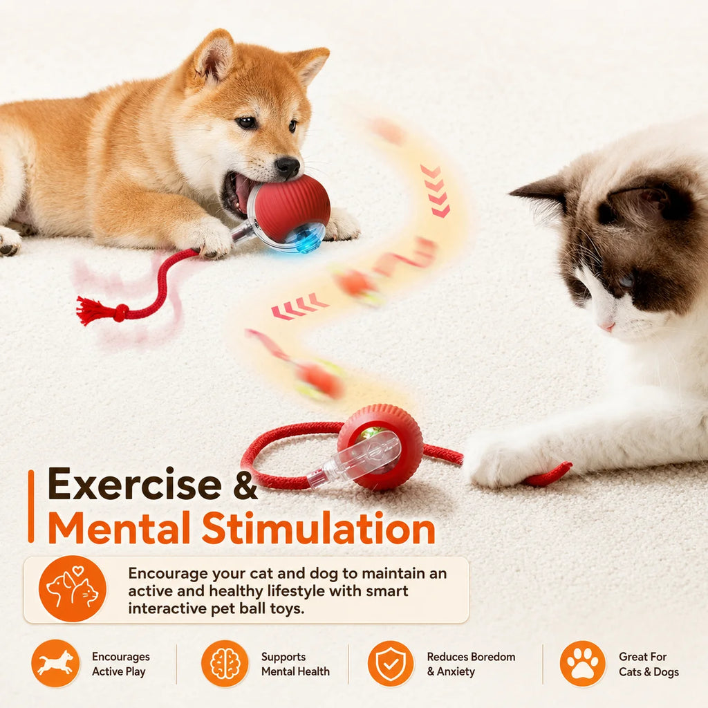 Rechargeable Automatic Rolling Interactive Dog Ball