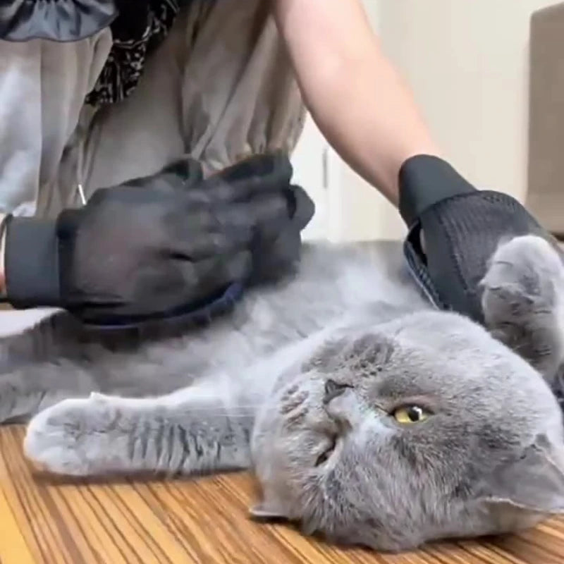 Silicone Pet Grooming and Bath Massage Glove