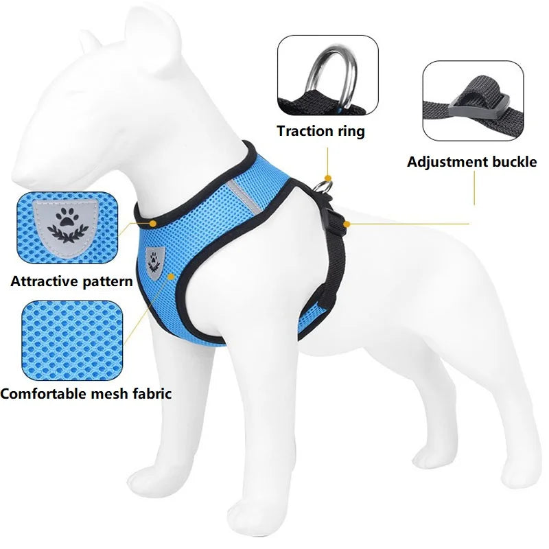 Adjustable Cat Harness and Leash Set