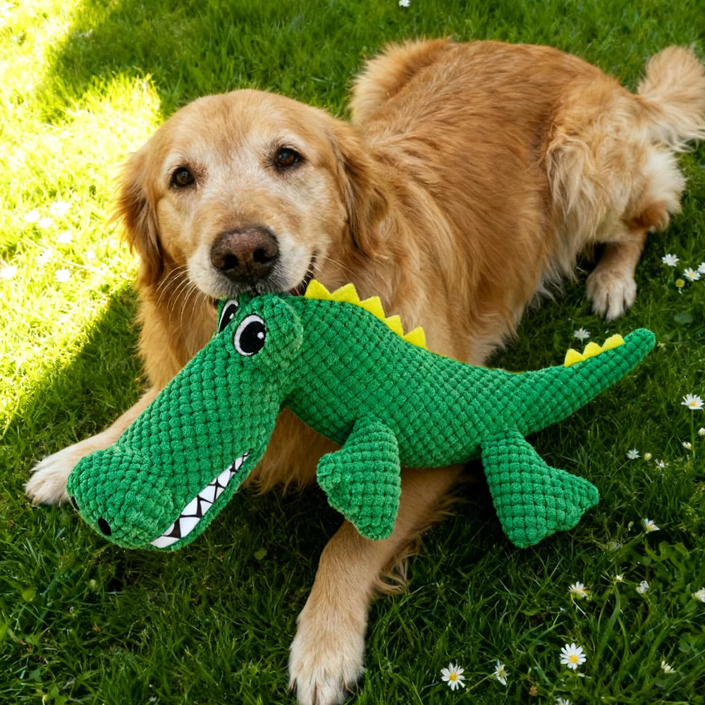 Crocodile Plush Squeaky Toy for Dogs – Interactive Chew & Play Toy