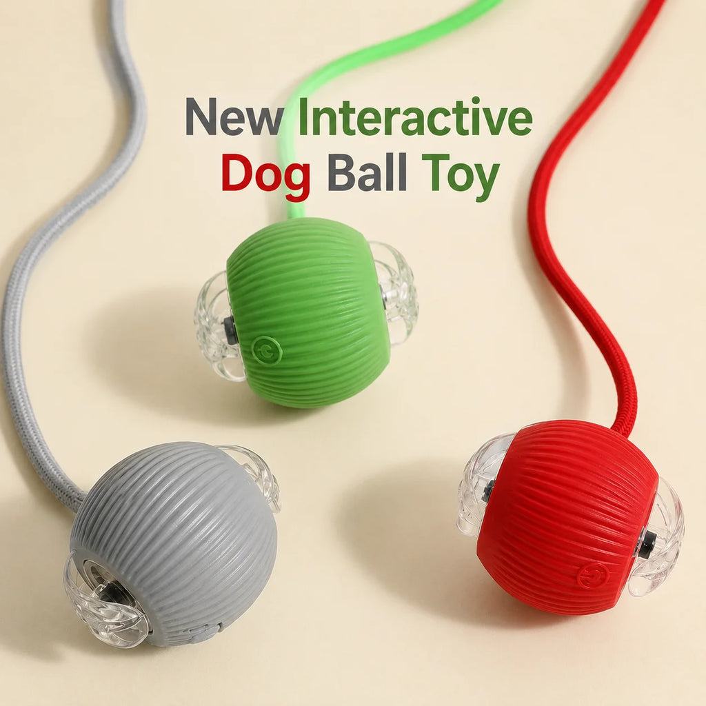 Rechargeable Automatic Rolling Interactive Dog Ball